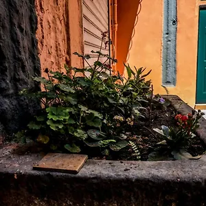 Little House Apartment